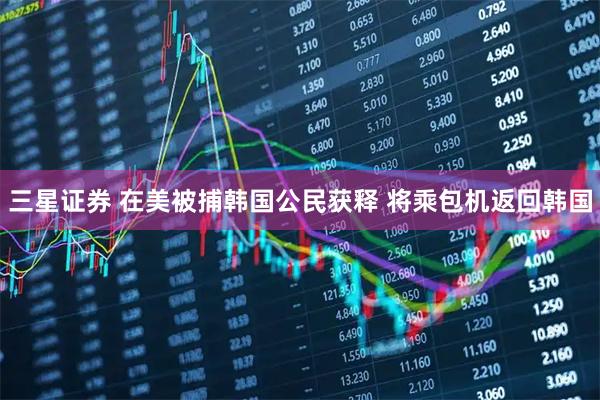 三星证券 在美被捕韩国公民获释 将乘包机返回韩国