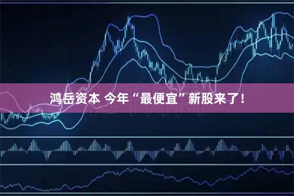 鸿岳资本 今年“最便宜”新股来了！