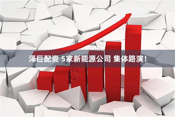 泽巨配资 5家新能源公司 集体路演！