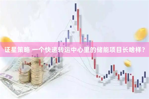 证星策略 一个快递转运中心里的储能项目长啥样？