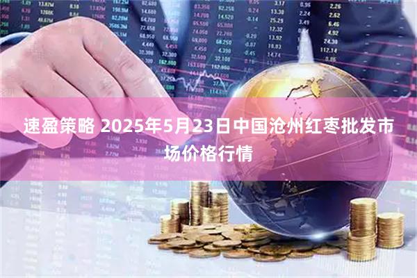 速盈策略 2025年5月23日中国沧州红枣批发市场价格行情