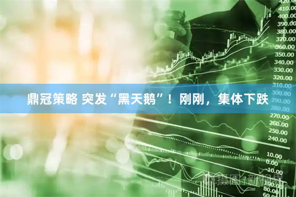 鼎冠策略 突发“黑天鹅”！刚刚，集体下跌