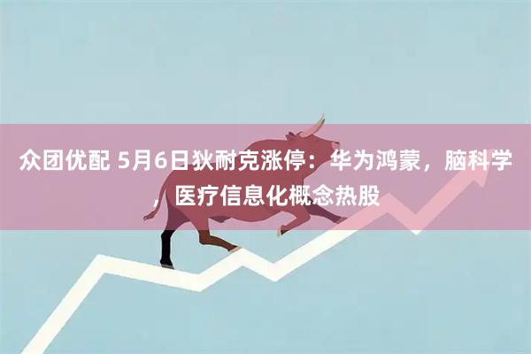 众团优配 5月6日狄耐克涨停：华为鸿蒙，脑科学，医疗信息化概念热股