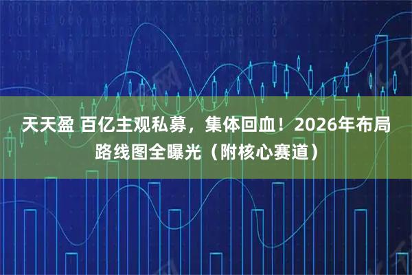 天天盈 百亿主观私募,集体回血!2026年布局路线图全曝光(附核心赛道)