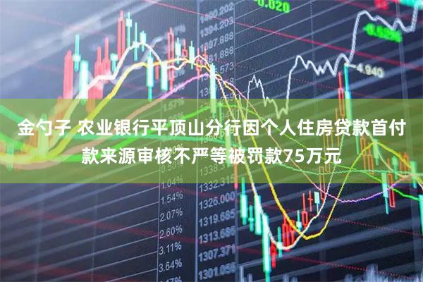 金勺子 农业银行平顶山分行因个人住房贷款首付款来源审核不严等被罚款75万元