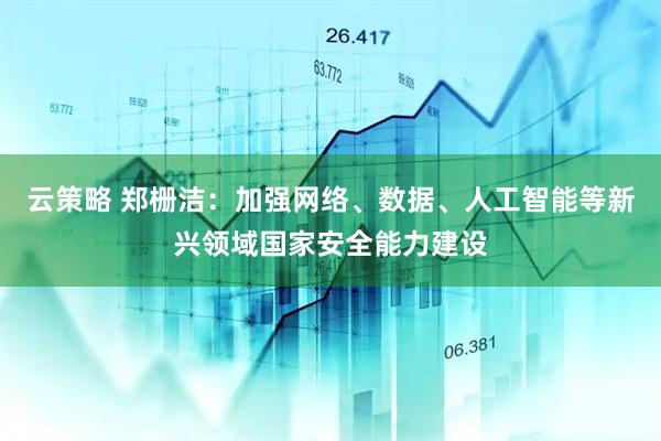 云策略 郑栅洁：加强网络、数据、人工智能等新兴领域国家安全能力建设